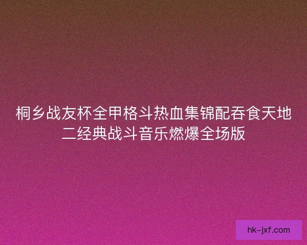 桐乡战友杯全甲格斗热血集锦配吞食天地二经典战斗音乐燃爆全场版